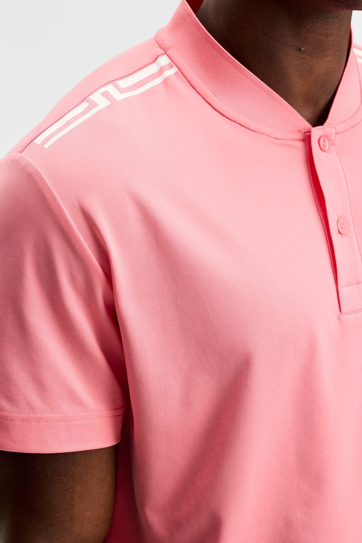 Josh Polo / Flamingo Plume