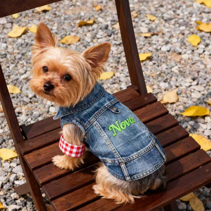 Personalisierte bestickte Haustier-Jeansweste mit Namen | inCloth63