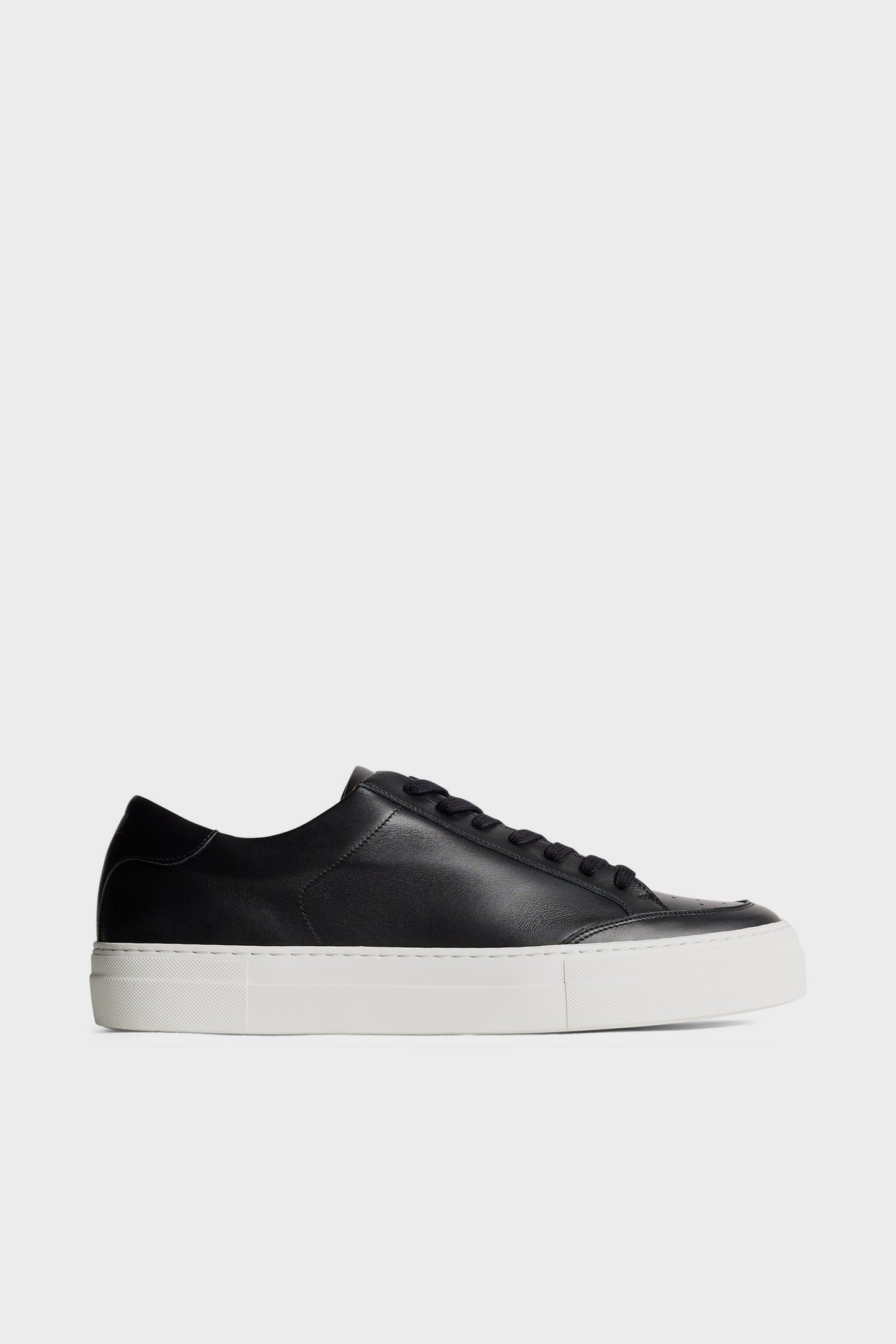 Art Signature Leather Sneaker / Black