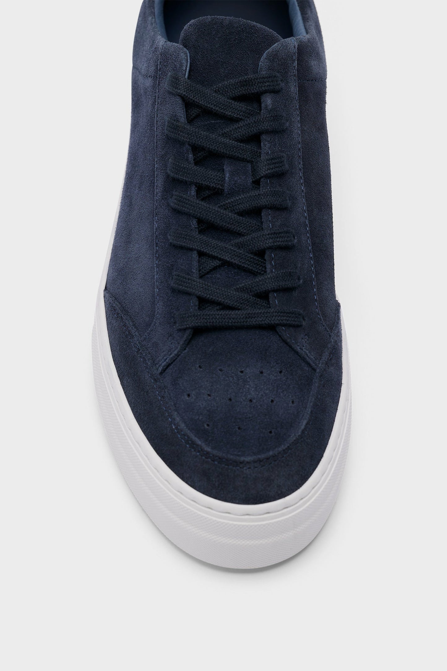 Art Signature Suede Sneaker / Navy